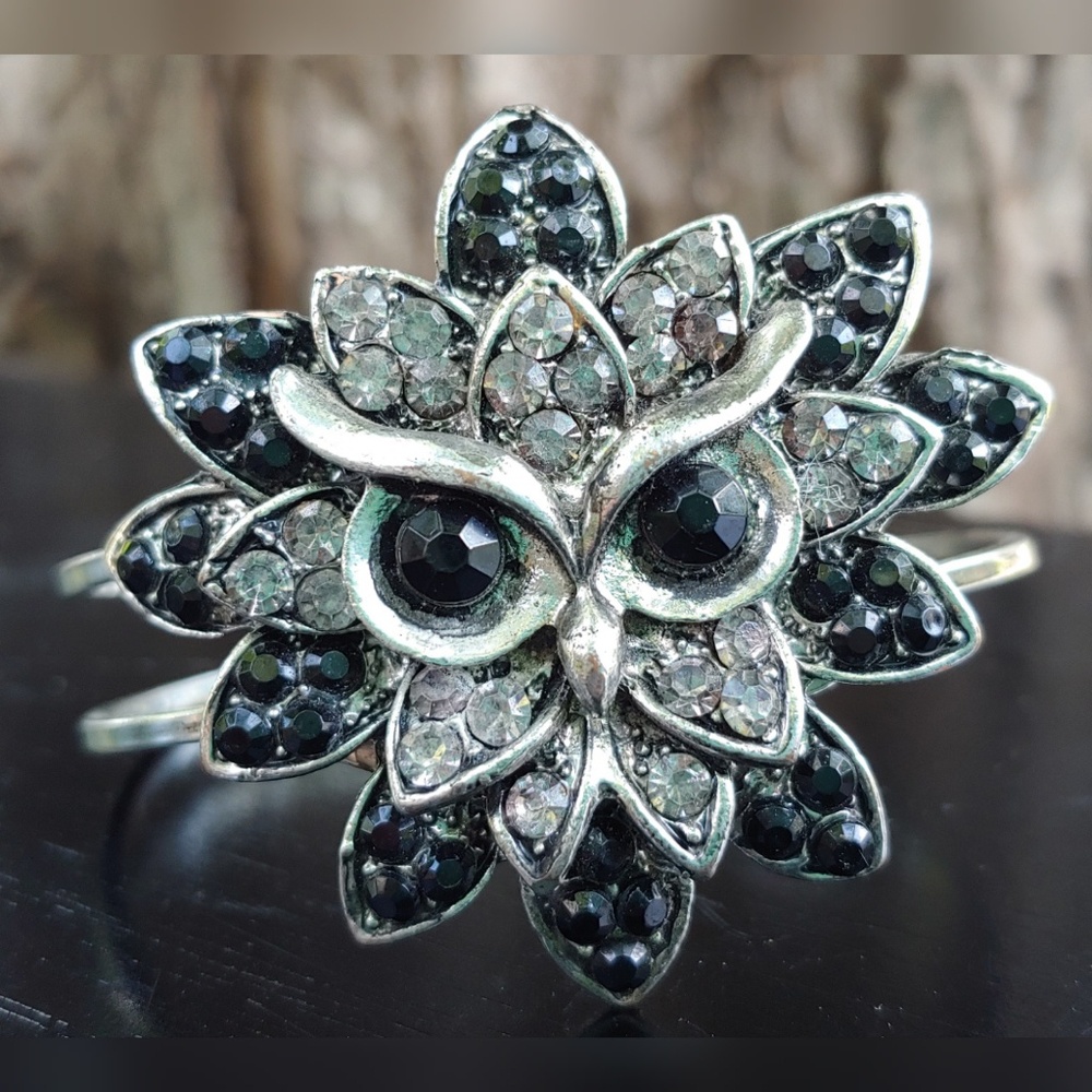 🦉 Stunning & Unique Owl Bracelet